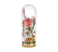 BENECREAT Cloche en Verre de 8x23cm avec Base en Liège Pots Décoratifs en Verre Cloches en pour Fleurs Usine Miniature Décoration de la Maison