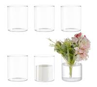 BENECREAT Lot de 6 vases cylindriques en verre transparent, 10,2 cm (H) x 8,4 cm (l), bouteilles de plantes hydroponiques transparentes, vases décoratifs modernes pour micro paysage, fleurs, maison,