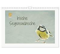 Bénédictions irlandaises, Version française (Calendrier mural 2026 DIN A4 portrait), Calendrier CALVENDO mensuel