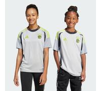 Benfica 24/25 Third Jersey Kids Light Solid Grey 7-8A