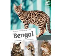 Bengal - Comportement, soins, sociabilisation