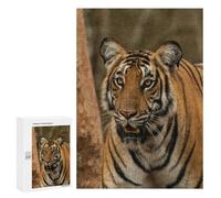 Bengal Tiger Puzzle en bois de 300 pièces - Bois respectueux de l'environnement, parfait affichage d'art pour les amateurs d'art