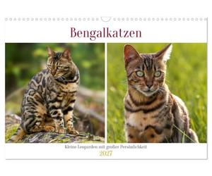 Bengalkatzen - Kleine Leoparden mit großer Persönlichkeit (Wandkalender 2027 DIN A3 quer), CALVENDO Monatskalender: Zwei junge Bengalenkater erkunden die Natur