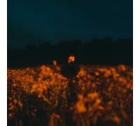 Benjamin Francis Leftwich - Some Things Break