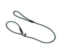Benji & Flo Laisse classique Vert foncé 1,2 m