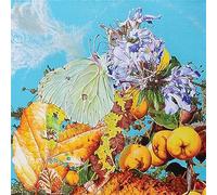 Bennett Wilson Poole - I Saw a Star Behind Your Eyes, Don't Let It Die Aw [Import]