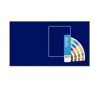 Taille : 65 PANTONE X SKINTONE LED 3840X2160