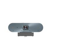 BenQ DV01K 8,29 MP Gris 3840 x 2160 pixels 60 ips