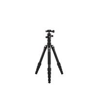 Benro Tripster FTR19AB0GBLK Monopode de Voyage Noir