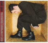 Ben'S Symphonic Orchestra - Junk Shop [Import]