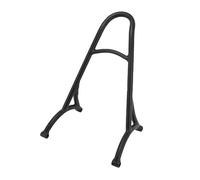 BENSIL Nonuinz pour Harley pour Sportster XL1200 XL883 XL 72 48 Fer XLH883 XLH1200 2004-Up Moto Amovible Dossier Passager Arrière Sissy Bar Moto Porte-Bagages (Color : 2)
