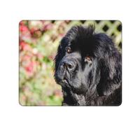 BeNtli Tapis de Souris, Chien de Terre-Neuve Noir, Tapis de Souris à Base de Caoutchouc antidérapant, Tapis de Souris étanche 12 × 10 Pouces pour Le Bureau