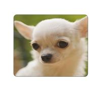 BeNtli Tapis de Souris, Visage de Chien Chihuahua Blanc, Tapis de Souris à Base de Caoutchouc antidérapant, Tapis de Souris étanche 12 × 10 Pouces pour Bureau