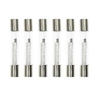 BEOTTO Lot de 100 fusibles spéciaux 5 kV pour four à micro-ondes 6 x 40 mm 0,65 A 0,75 A 0,75 A 0,85 A 0,85 A 0,9 A 1 A Fusible en tube de verre 5 000 V 700 mA Fusible haute pression (Size : 1 A)