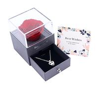 Beowanzk Eternal Rose avec boîte-Cadeau, Cadeau pour Femme, Cadeau d'anniversaire Romantique pour Petite Amie, Grand-mère, Elle, Maman, Soeur Le Jour de la Saint-Valentin, Anniversaire, mères, Noël