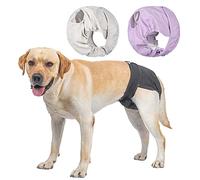 BePetMia Couches Lavables pour Chiennes, sous-vêtements Hygiéniques pour Chiens en Chaleur, 5 Tailles XS à XL, Convient à Toutes Les Chiennes (L: 48-65cm, 3-Packs)