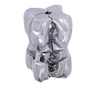 BePuzzled | Casse-t?te en m?tal Hanayama de H&H Mensa, class? niveau 5, pour les 12 ans et plus