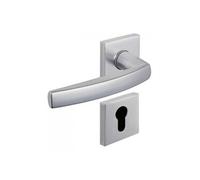 Ensemble sur rosace carrée CITYZEN 6421 anodinox clé I VACHETTE 080234