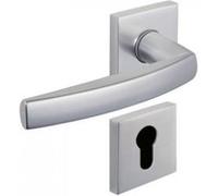 Ensemble sur rosace carrée CITYZEN 6421 anodinox clé I VACHETTE 080234