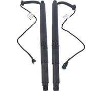 Béquilles de levage de puissance du hayon de la BMW X6, compatibles OEM, installation facile, matériau durable