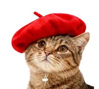 Béret pour Chien | Bonnet Ajustable pour Animaux - Bonnet d'artiste,pour Les représentations théâtrales, Les fêtes de Vacances, Le Cosplay, Les Spectacles sur scène, Les réunions