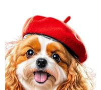 Bérets tendance pour animaux de compagnie avec design unique améliorant la personnalité de l'animal pour photos sur les réseaux sociaux et divers événements en laine pour chiens et chats