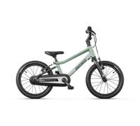 BERG Dash 16 Sage Green