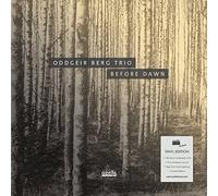 Berg, Oddgeir Trio - Before Dawn (180 Gramm Vinyl)