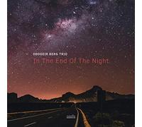 Berg, Oddgeir -Trio- - in End of The Night [Import]