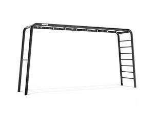 Berg Playbase Aire de jeux extra large pour jardin, cage de football, cage de basketball, cadre d'escalade, fitness, mur d'escalade, tout en un, en métal