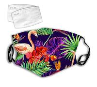 BERG Trampoline Champion Regular 380 Grey + Filet de sécurité Deluxe