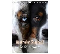 Berger australien - Beste Freunde, Version française (Calendrier mural 2026 DIN A4 portrait), Calendrier CALVENDO mensuel