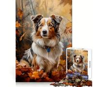 Berger Australien dans Les Feuilles d'automne Puzzle de 1000 pièces pour Adultes Exercice de logique Détente Tranquille Bords Nets Cadeau Symbolique (38x52cm)
