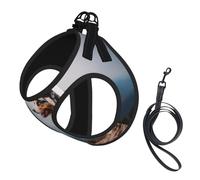Berger Australien des Montagnes Aussie Pets Dogs,Harnais pour Animaux de Compagnie, Harnais réfléchissant réglable pour Chien,M