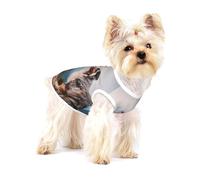 Berger Australien des Montagnes Aussie Pets Dogs,T-Shirt sans Manches en Coton pour Animaux de Compagnie, Gilet Respirant, Extensible et Doux,M