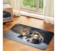 Berger Australien Hiver Neige Blanc Gris Chiens,Tapis d'alimentation pour Animaux de Compagnie, Sets de Table en Cuir PU pour Chats et Chiens,30x45cm