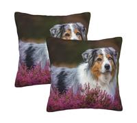 Berger Australien, Housse de Coussin décorative en Polyester, Douce et Confortable 2 pièces 55x55cm