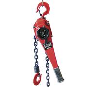 Berger & Schröter 60589 Palan à chaîne à double cliquet Capacité de charge (sans poulie de guidage) 1000 kg
