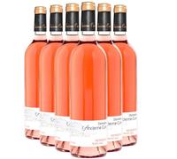 Bergerac Jour de Fruit Sec Demi Bouteille - Blanc 2023 - Domaine de l'Ancienne Cure - Vin Blanc du Sud-Ouest (6x37.5cl) BIO