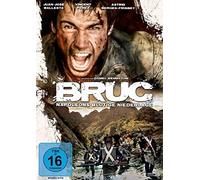 Berges-Frisbey,Astrid - Bruc: Napoleons Blutige Niederlage