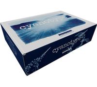 BERGGER Kit Cyanotype
