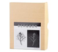 BERGGER PRINTFILM Film Demi-Teinte de Laboratoire 8x10" x25