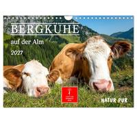 Bergkühe auf der Alm - Natur pur (Wandkalender 2027 DIN A4 quer), CALVENDO Monatskalender: Alpenidylle und Kuhliebe für das ganze Jahr.