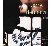 Bergonzi, Jerry - Lost in the Shuffle