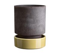 Bergs Potter Pot Hoff Ø16 cm. Raw Grey-Pale Yellow