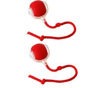 bergxperten Paradis du Chien ChaseBall - Jouet interactif pour Chien, Durable et Automatique, Rechargeable USB, adaptée aux Chiots et Chiens Petits et Moyens