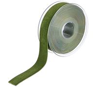 Berisfords Ruban de velours, mousse, 5 m x 22 mm