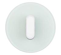 Berker 1001208300 Abdeckplatte mit Knebel, Serie R.Classic, Glas polarweiß