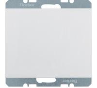 Berker 10457009 Bouchon Aveugle Avec Pièce Centrale K.1 Polar Blanc, Brillant