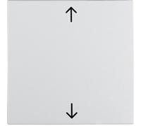 Berker 16201919 Bascule avec Impression Symbole Flèches S.1 / B.3/ B.7
